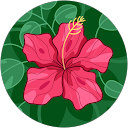 Mhyra Suha profile picture